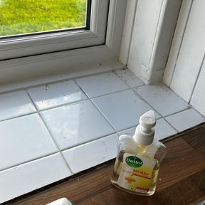 Deep Cleaning Hackney Marshes E10